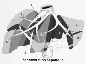 Chirurgie hépato-biliaire - IBODE