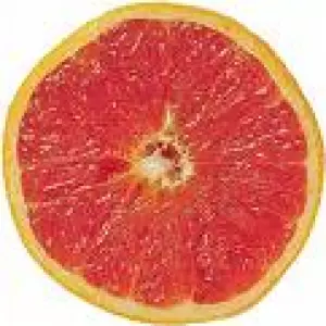 Le suivi nutritionnel aprés by-pass