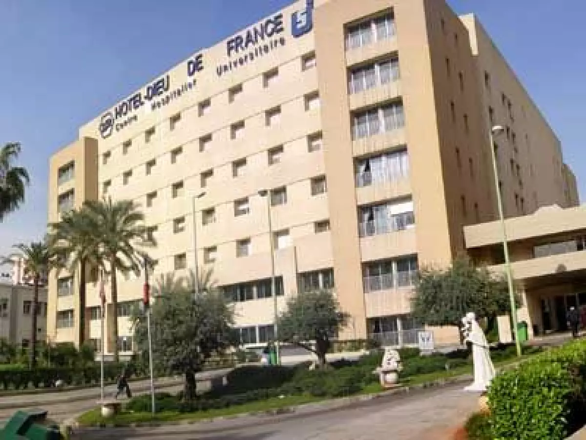 4 ème Visio-conférence avec le LIBAN (17 avril 2013)