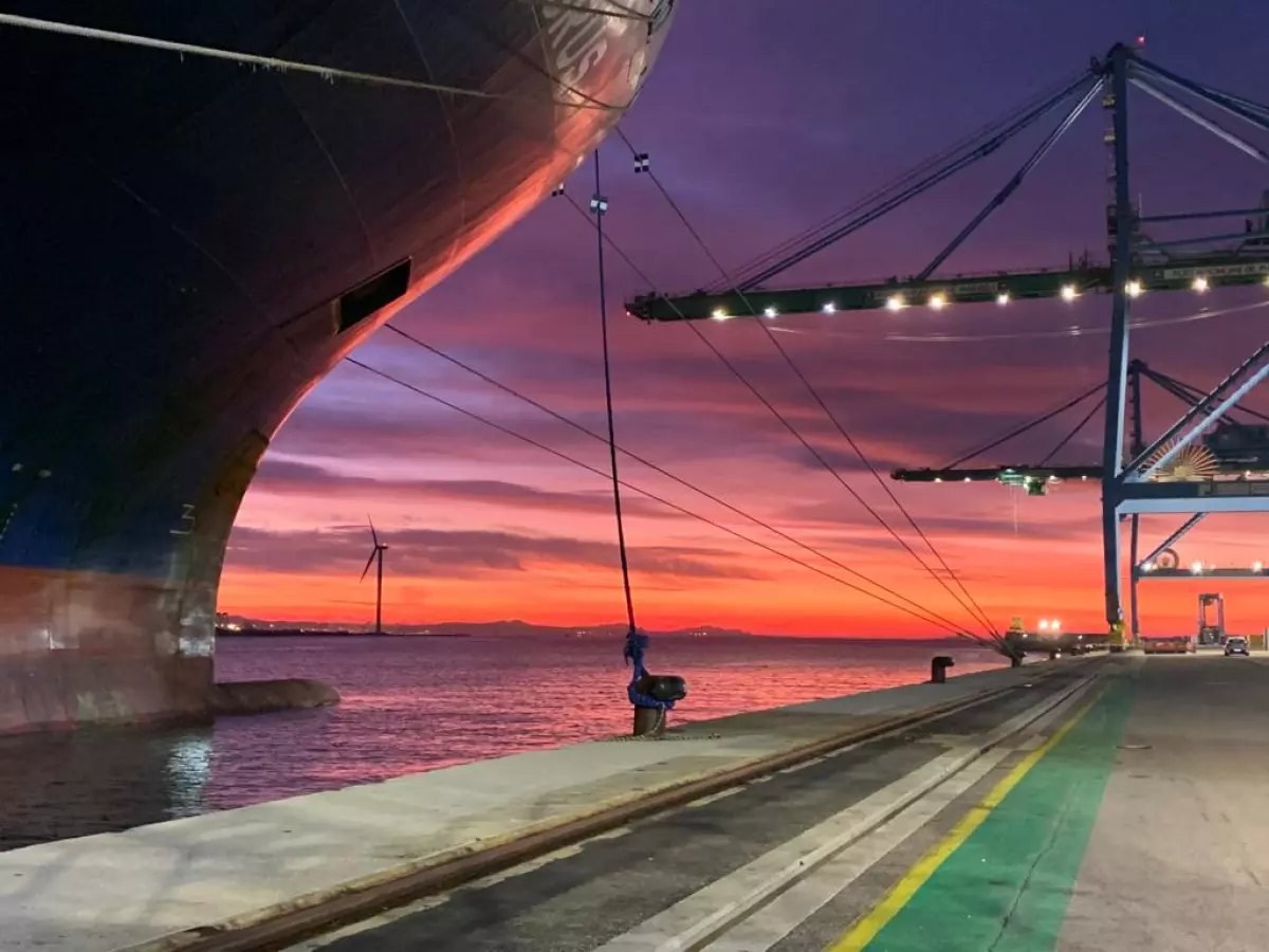 Nouvelles approches de l'obésité