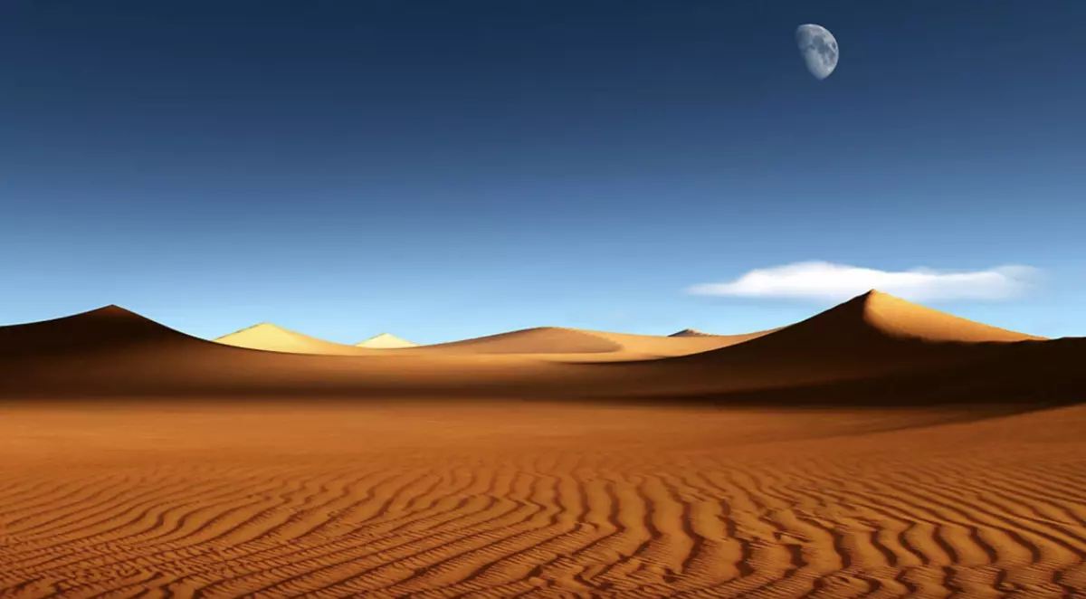 Cours avancé de chirurgie -Single Port- au Koweit